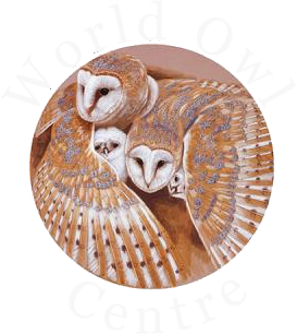 World Owl Centre